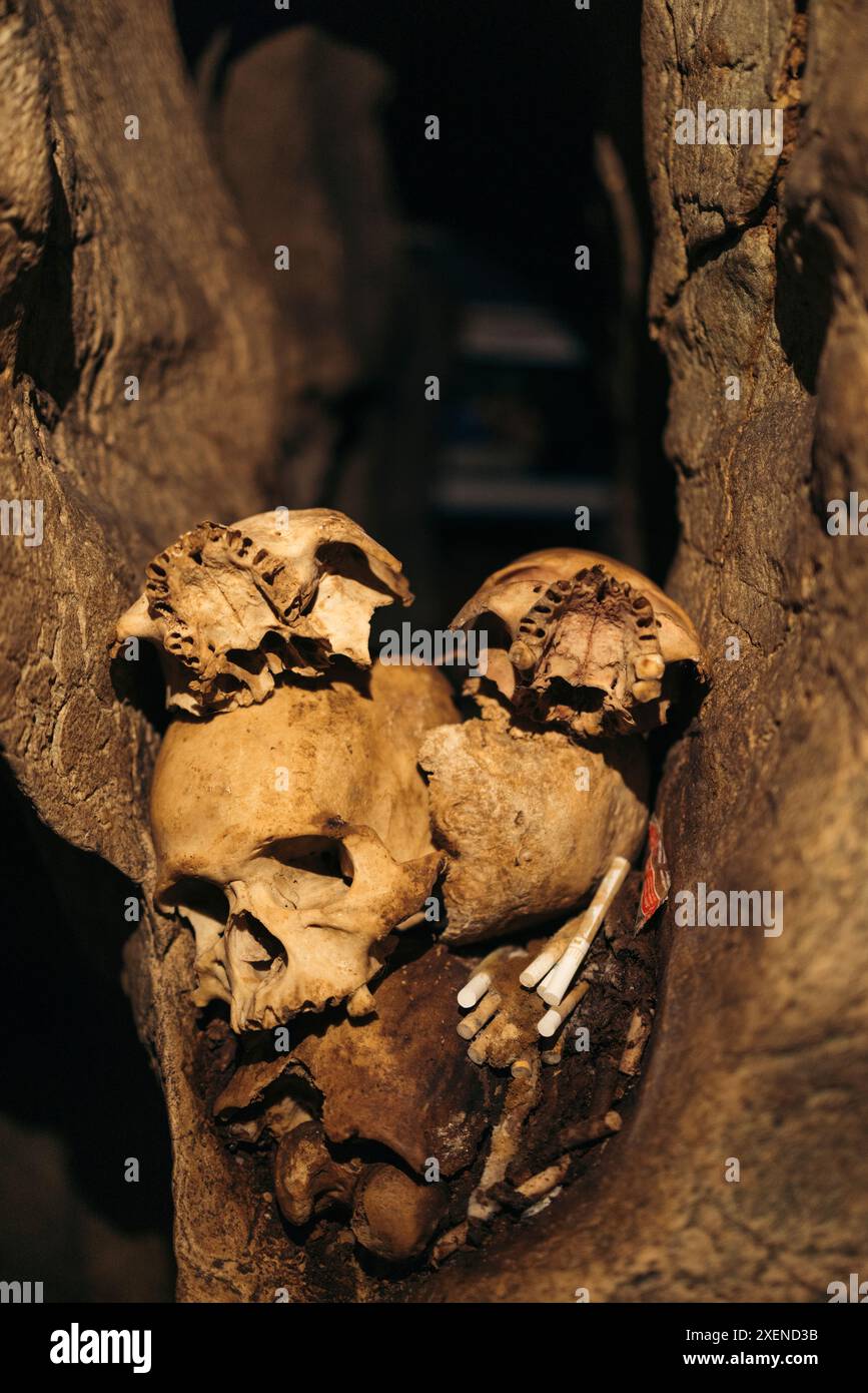 Teschi, mascelle e denti con offerte nell'antico cimitero di Londa a Sulawesi Selatan, Indonesia Foto Stock