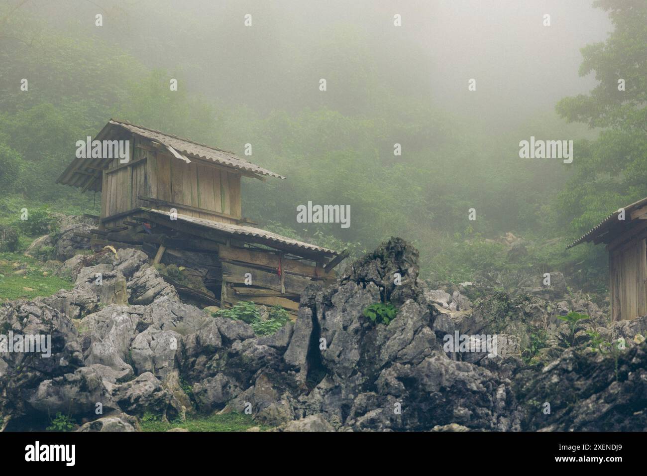 Tradizionale struttura in legno costruita su un terreno roccioso nella nebbia in un villaggio di Son la, Vietnam; villaggio di Ta so, distretto di Moc Chau, Son la, Vietnam Foto Stock