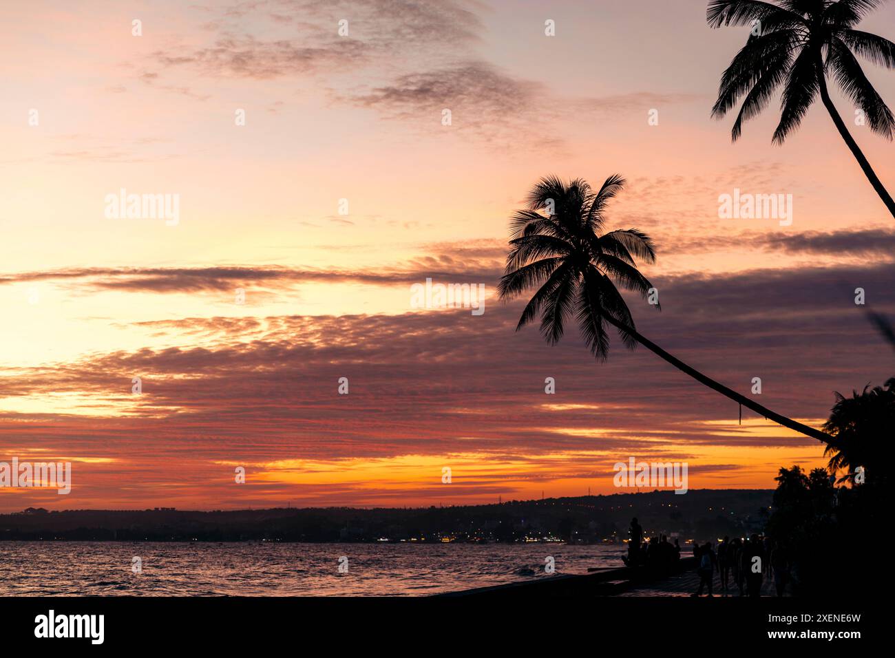 Palme sagomate contro un cielo caldo e colorato al tramonto a Mui ne, Vietnam a Mui ne, Vietnam; Mui ne, Binh Thuan, Vietnam Foto Stock