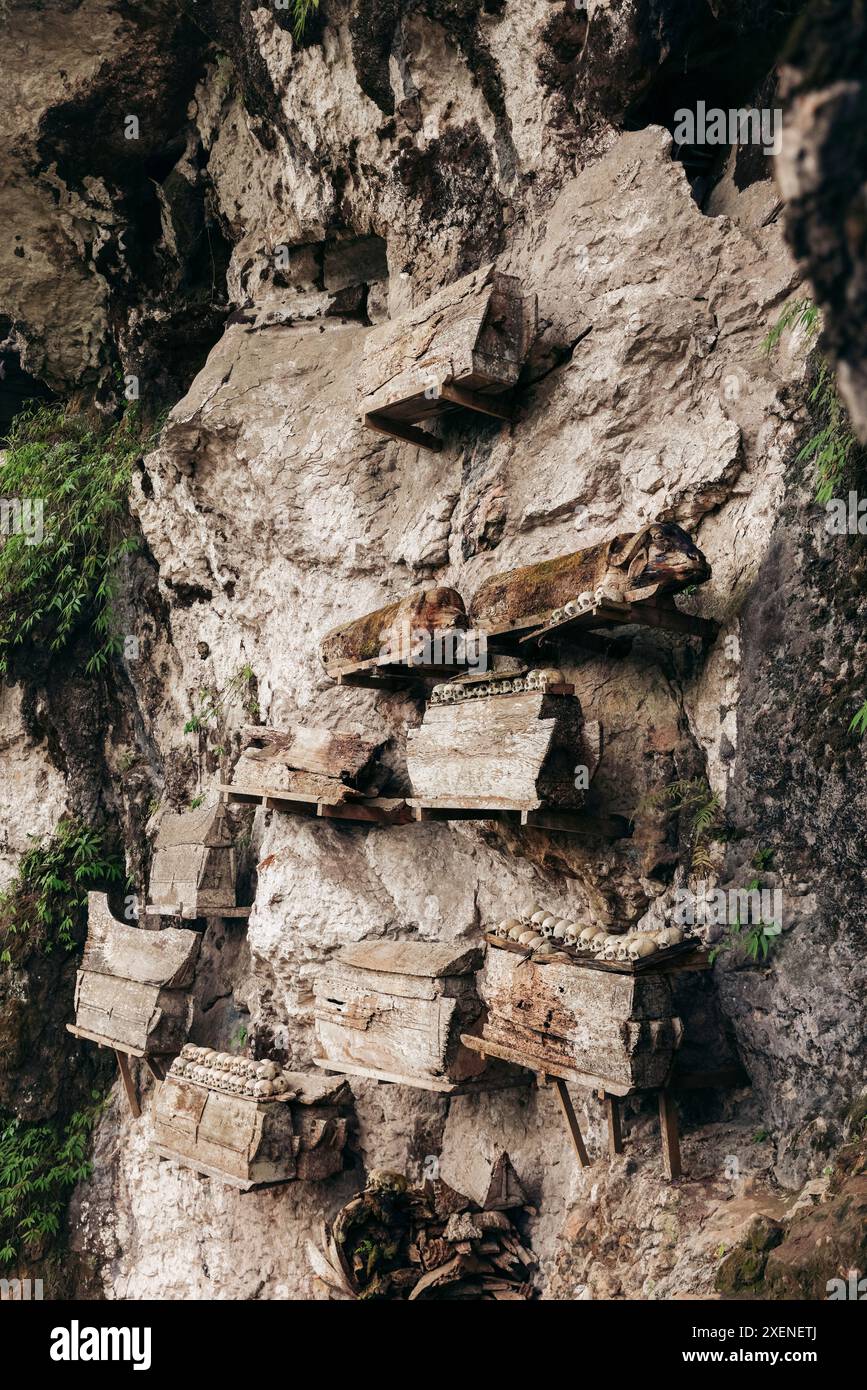 Bare su una scogliera nell'antico villaggio di KE'te Kesu' negli altopiani Toraja in Indonesia Foto Stock