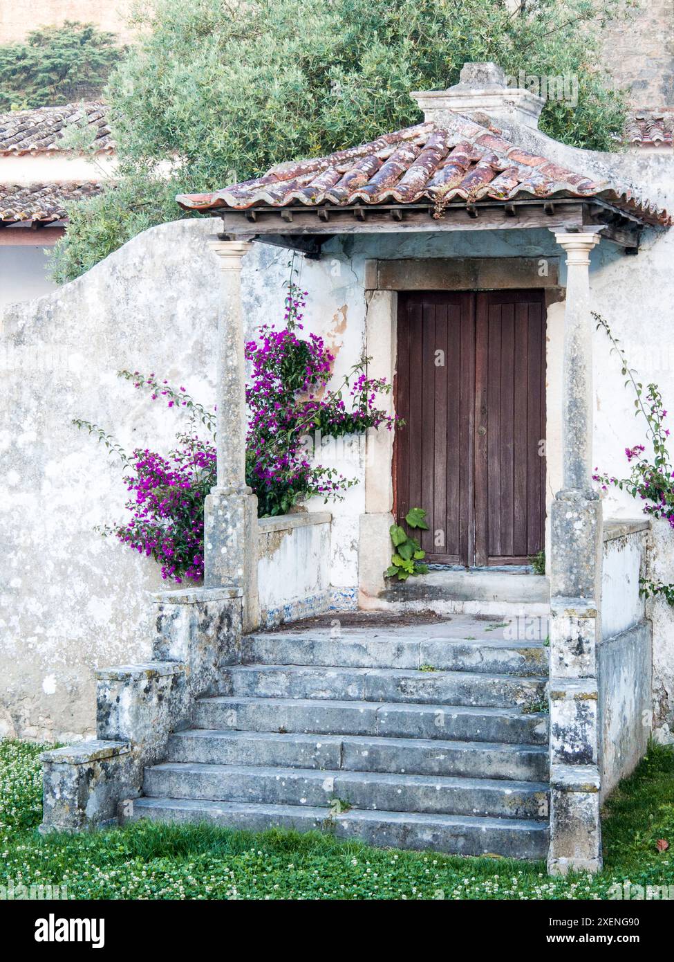 Portogallo, Obidos. Vigna buganvillea viola scura che cresce lungo l'ingresso di una casa nella città fortificata. Foto Stock