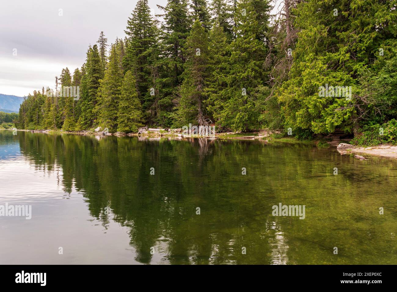 Gli alberi Evergreen riflettono le loro profonde sfumature verdi nelle acque calme del lago Wenatchee nello stato di Washington. Foto Stock