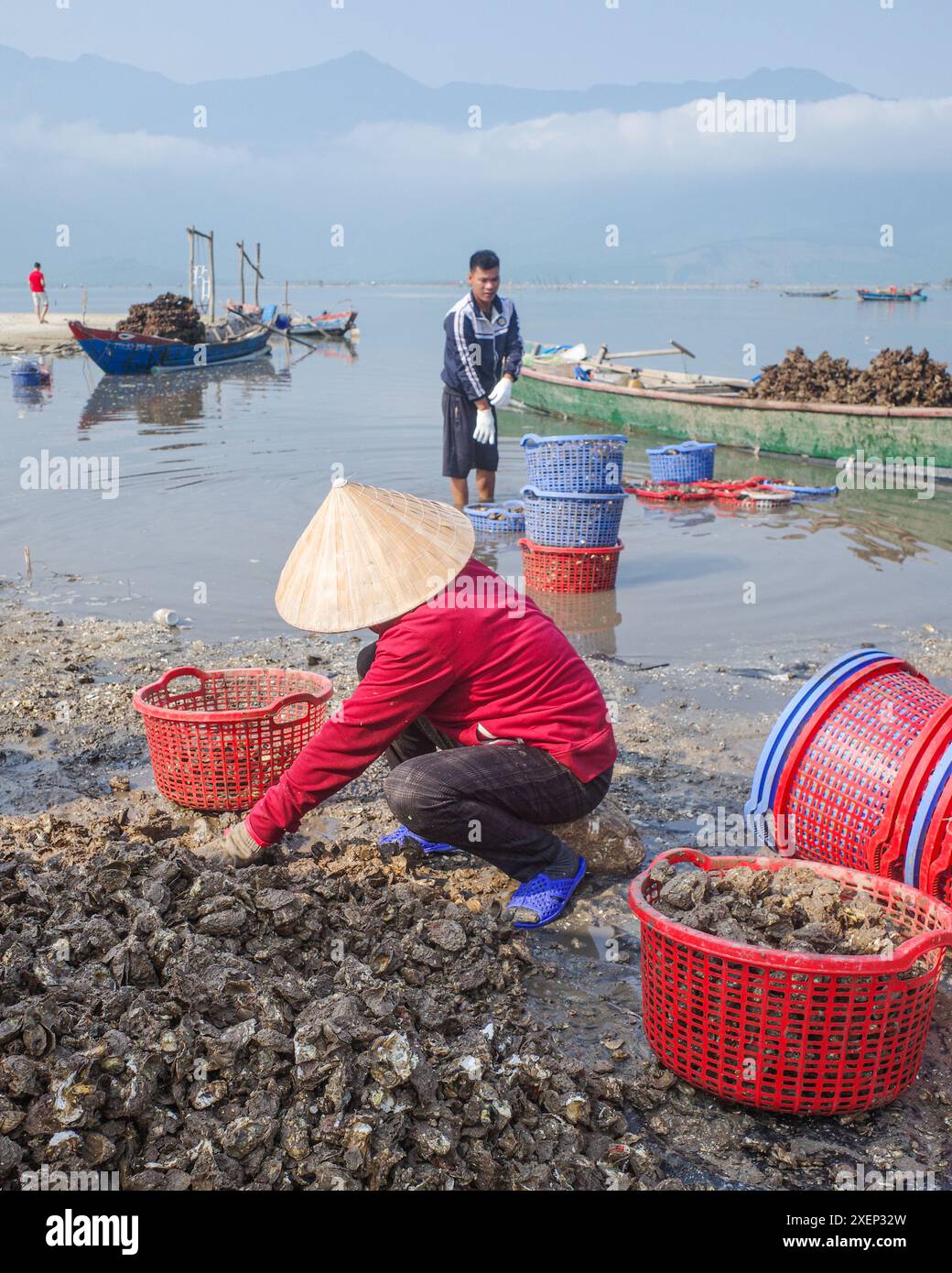 Da Nang, Vietnam - 6 febbraio 2024: Oyster Farmers sulla laguna di Lang Co, Vietnam Foto Stock