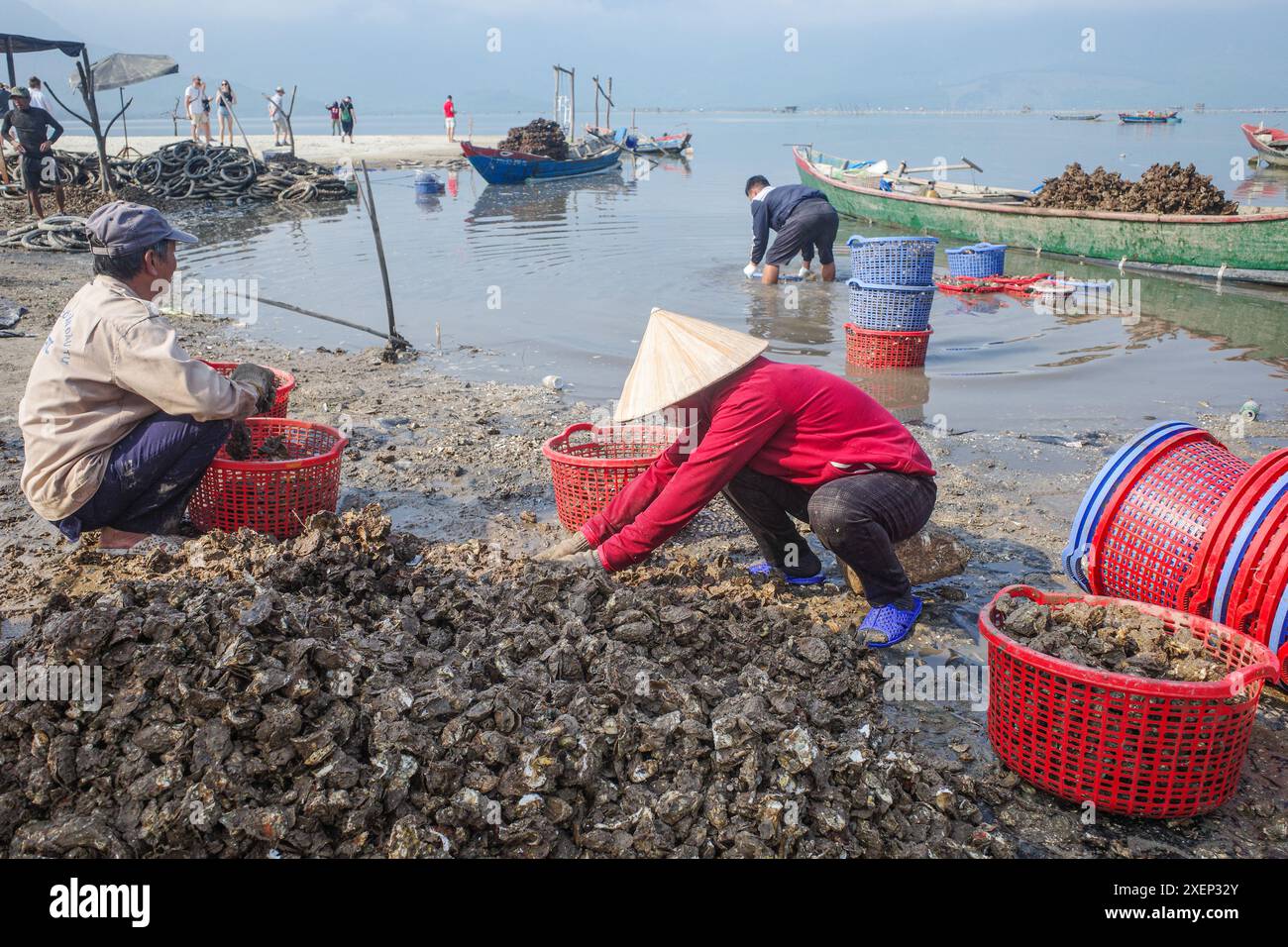 Da Nang, Vietnam - 6 febbraio 2024: Oyster Farmers sulla laguna di Lang Co, Vietnam Foto Stock