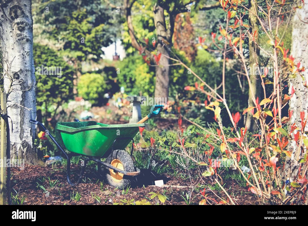 Una carriola si trova in un giardino con attrezzi Foto Stock