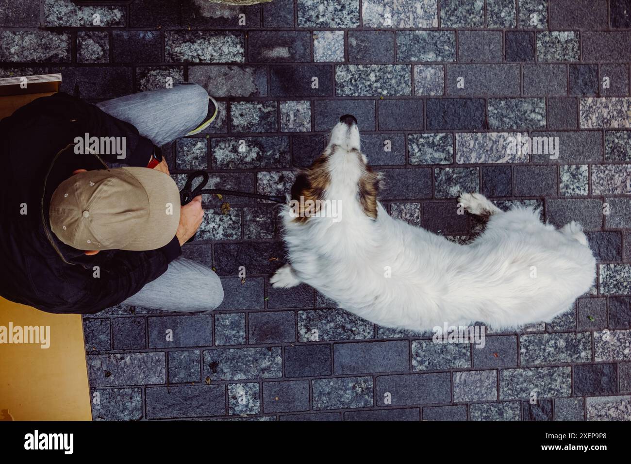 Un uomo siede con il suo cane Foto Stock