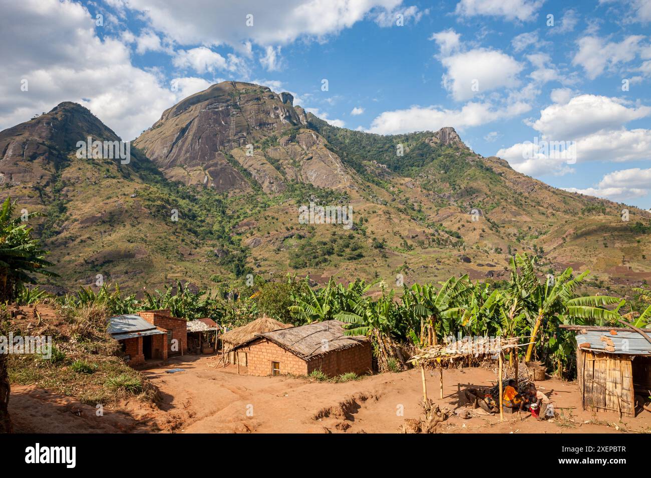 Mozambico, Zambezia, Gurúè, piantagioni di tè Foto Stock