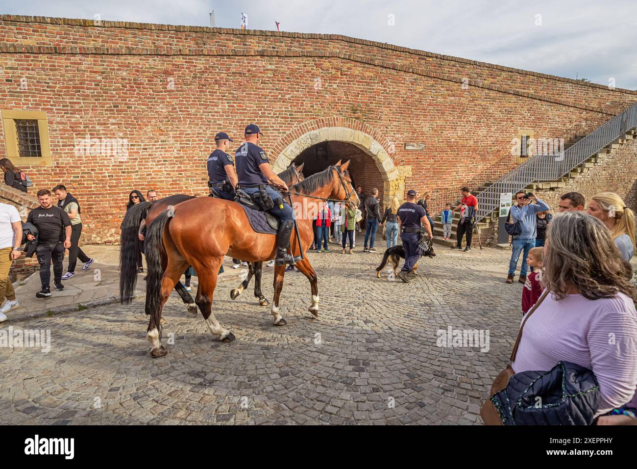 Belgrado, Serbia, 1 maggio 2024: A Belgrado, agenti di polizia a cavallo pattugliano le strade della città, fornendo una presenza visibile e mantenendo la legge e. Foto Stock