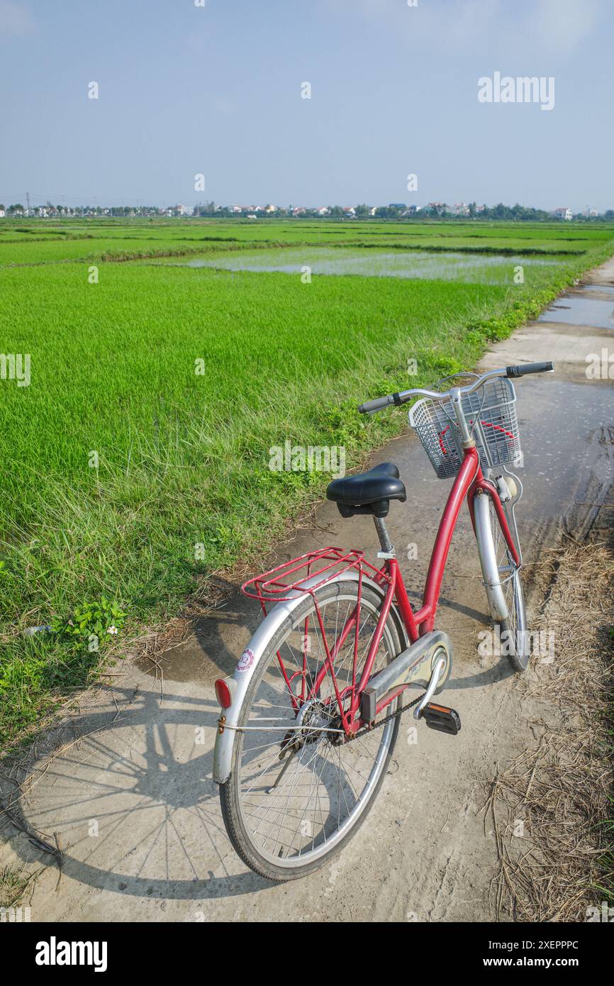 Hoi An, Vietnam - 5 febbraio 2024: Una bicicletta nei campi di riso vicino Hoi An, Vietnam Foto Stock