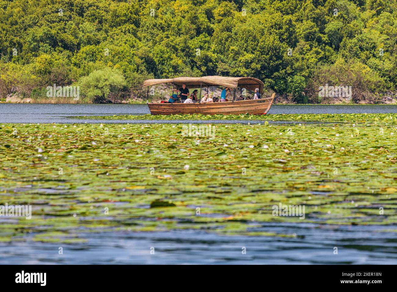 8 maggio 2024, Virpazar, Montenegro: Escursione estiva alla scoperta delle acque incontaminate e della natura del lago Skadar. Foto Stock