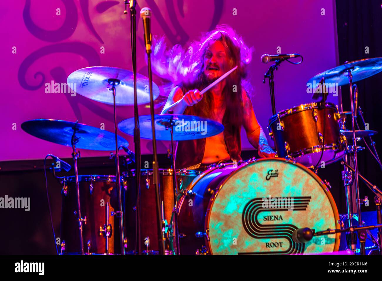 Il batterista della band svedese Siena Root colpisce le piatti, i capelli svolazzano, durante un concerto alla Music Hall di Worpswede. Il nome della band "Siena Root" è stampato sul grancassa. Worpswede, Bassa Sassonia, Germania. Foto Stock