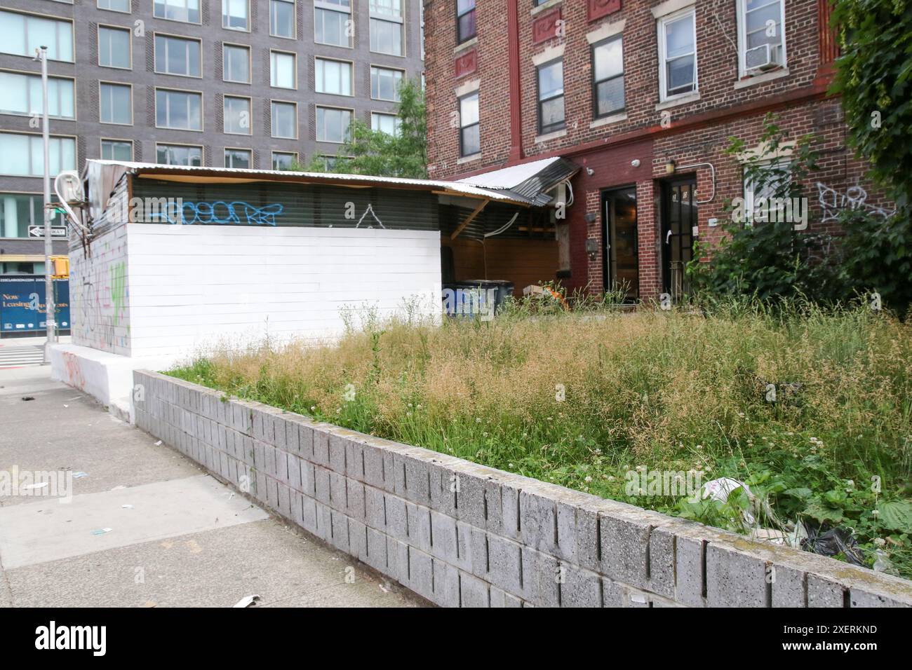 Quartiere di Flatbush, Brooklyn, New York Foto Stock