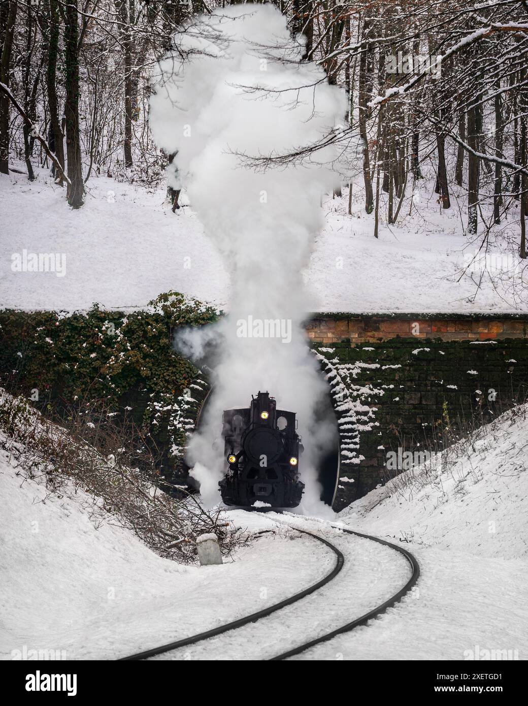 Budapest, Ungheria - foresta invernale con un nostalgico motore a vapore che esce dal tunnel nella foresta innevata delle colline di Buda vicino a Huvosvolgy Foto Stock