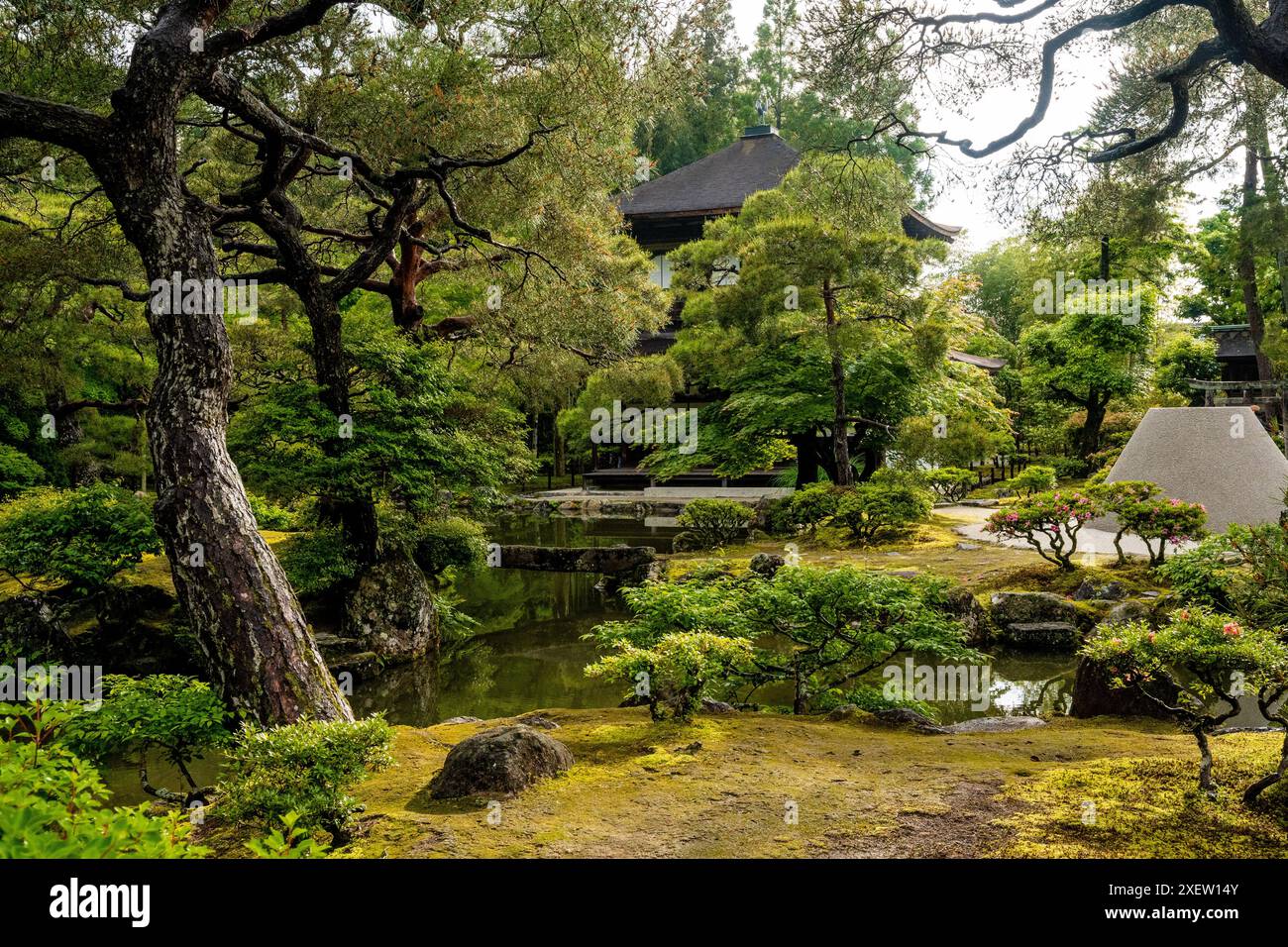 Lussureggiante giardino di Ginkaku-ji (o Jissho-ji), un tempio buddista zen costruito da Ashikaga Yoshimasa nel XV secolo, quartiere di Sakyo, Kyoto, Giappone. Foto Stock