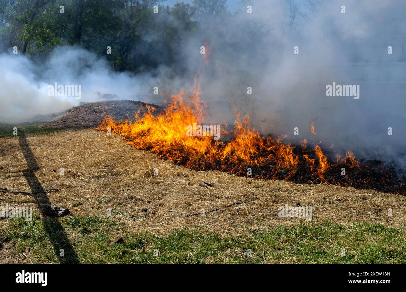Una vista ravvicinata delle fiamme danzanti e del fumo intenso mentre un agricoltore brucia il fieno e la paglia vecchio per consentire una nuova crescita in un pascolo del Missouri. Foto Stock