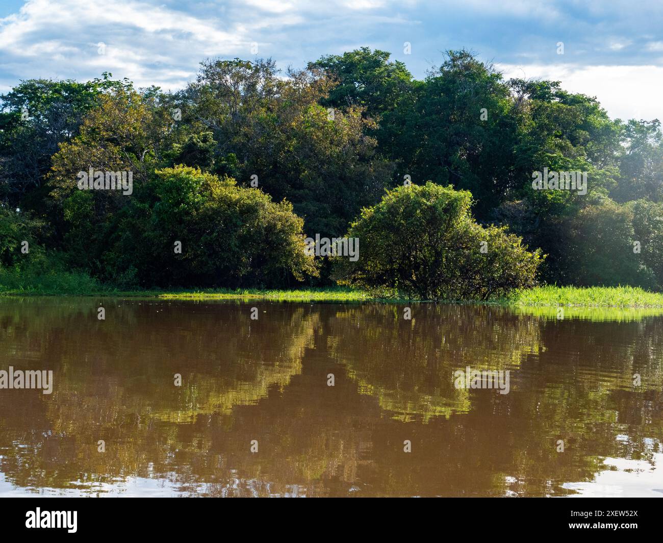 Paesaggio sul Rio delle Amazzoni (qui chiamato fiume Solimões) a est di Anamã in Brasile. Foto Stock