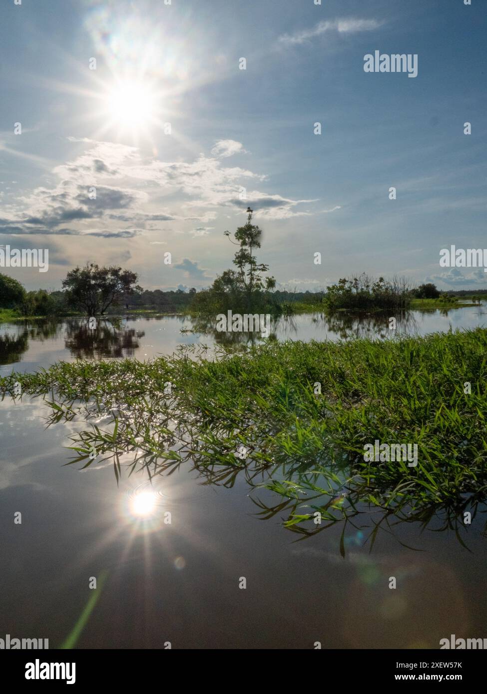 Paesaggio sul Rio delle Amazzoni (qui chiamato fiume Solimões) a est di Anamã in Brasile. Foto Stock