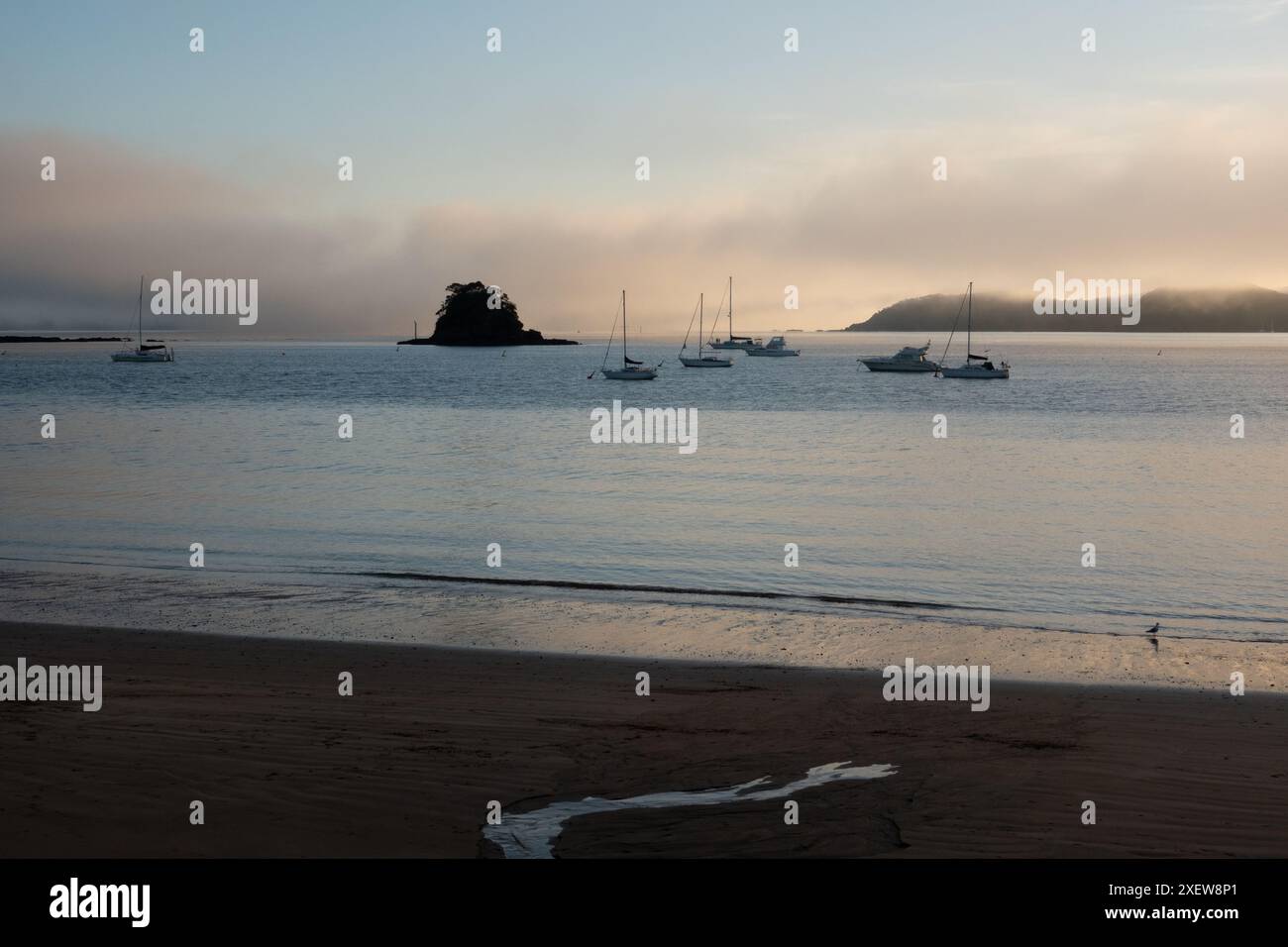 Alba nella mattina nebbiosa a Paihia Beach, Bay of Islands, nuova Zelanda Foto Stock