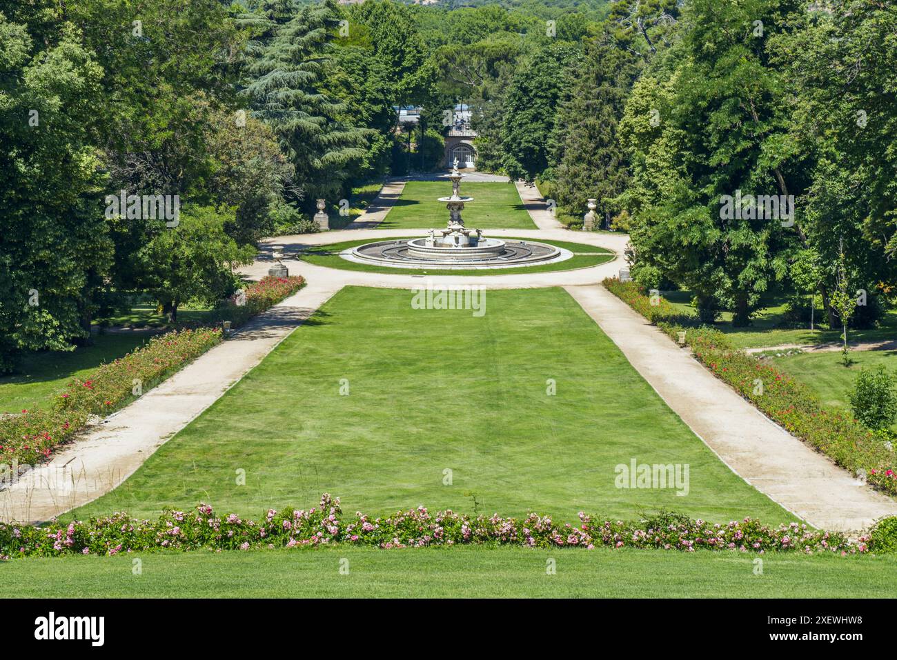 È importante conservare gli ecosistemi naturali nei parchi urbani e nei giardini per mantenere la loro biodiversità Foto Stock