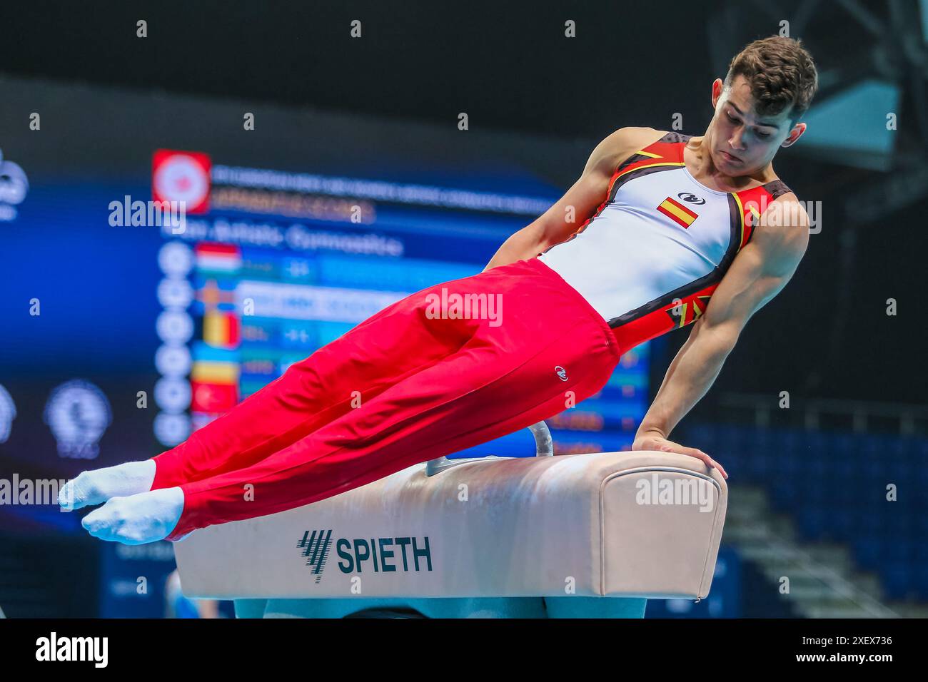 Szczecin, Polonia, 10 aprile 2019: L'atleta olimpica Mir Nicolau di Spagna gareggia sul cavallo pommel durante il championsh europeo di ginnastica artistica Foto Stock