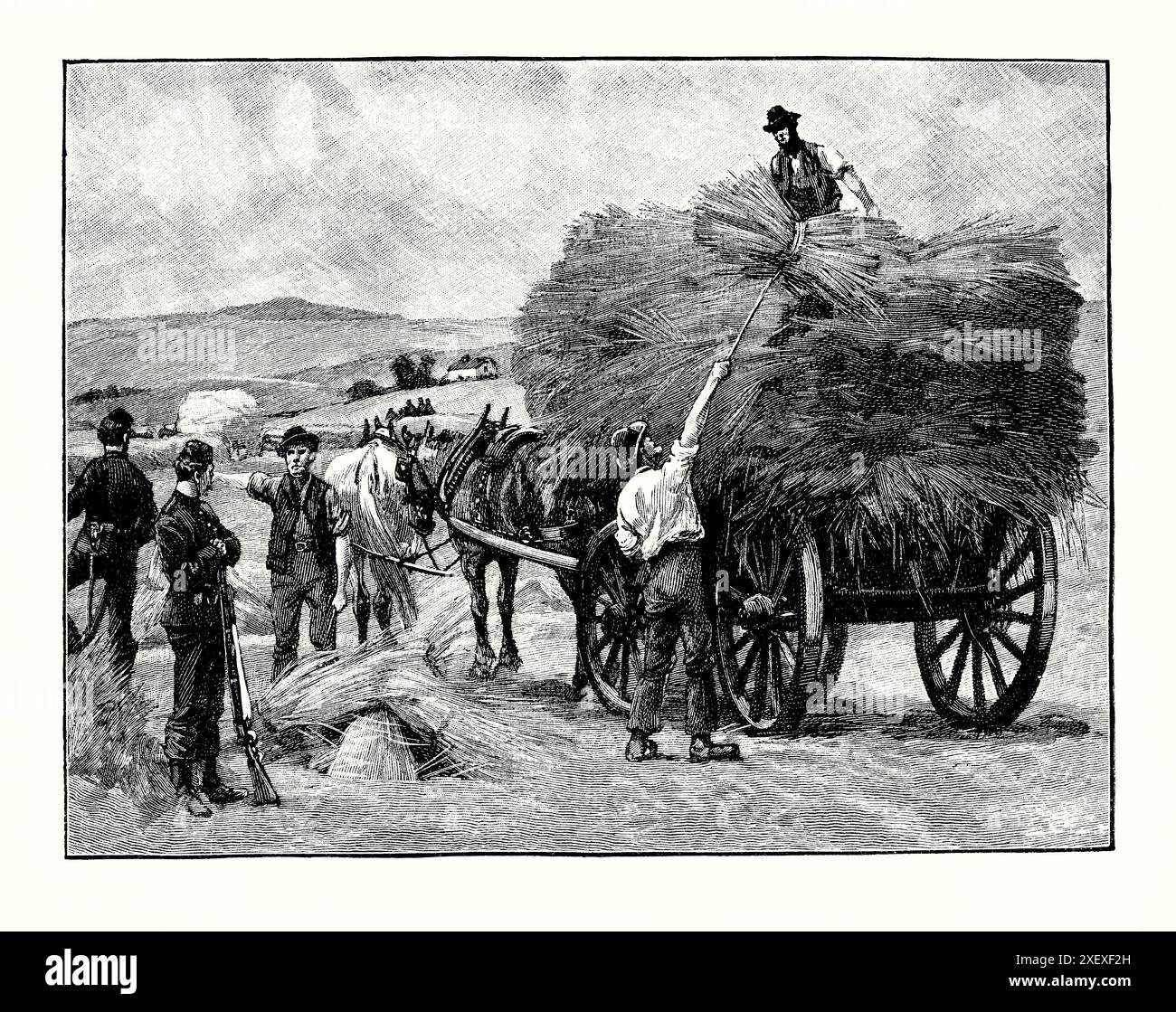 Una vecchia incisione dei raccolti del boicottaggio di Charles Cunningham raccolti sotto la guardia armata, nell'area di Lough Mask della contea di Mayo, in Irlanda, nel 1880. È tratto da un libro di storia vittoriana del 1900 circa. Nell'autunno del 1880, il boicottaggio (1832-1897) fu chiamato dalla Land League a ridurre gli affitti dopo un cattivo raccolto. Ha rifiutato. Orangemen viaggiò per raccogliere i raccolti, mentre un reggimento del 19° Ussari reali e più di 1.000 uomini del Royal Irish Constabulary (RIC) furono schierati per proteggere i mietitori. Si stima che l'episodio sia costato almeno £ 10.000 per raccogliere circa £ 500 di raccolto. Foto Stock