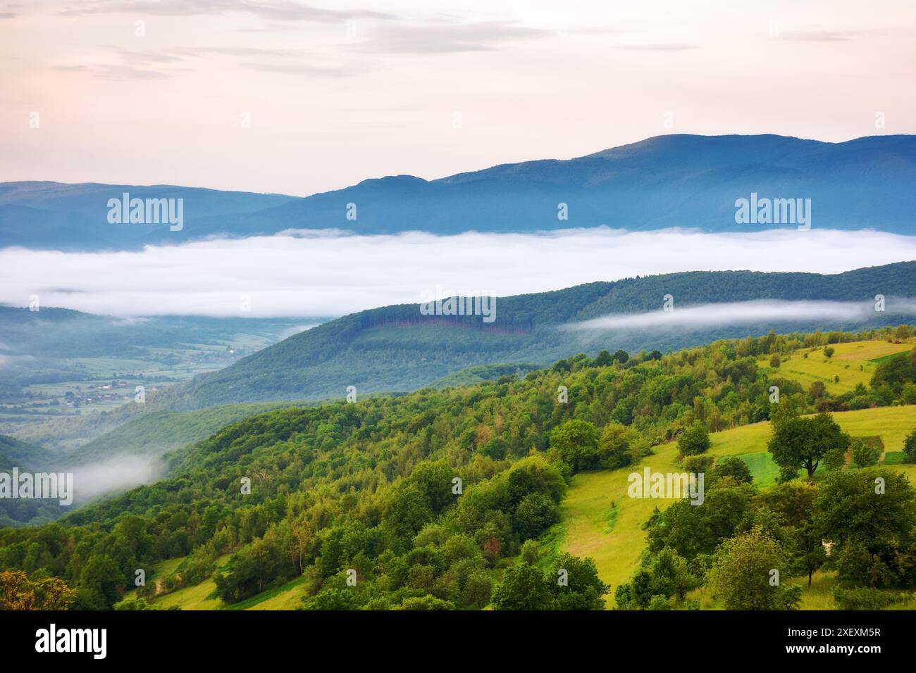 paesaggio di campagna montuosa in primavera. foresta di faggi primordiale sulle colline. valle rurale lontana piena di nebbia Foto Stock