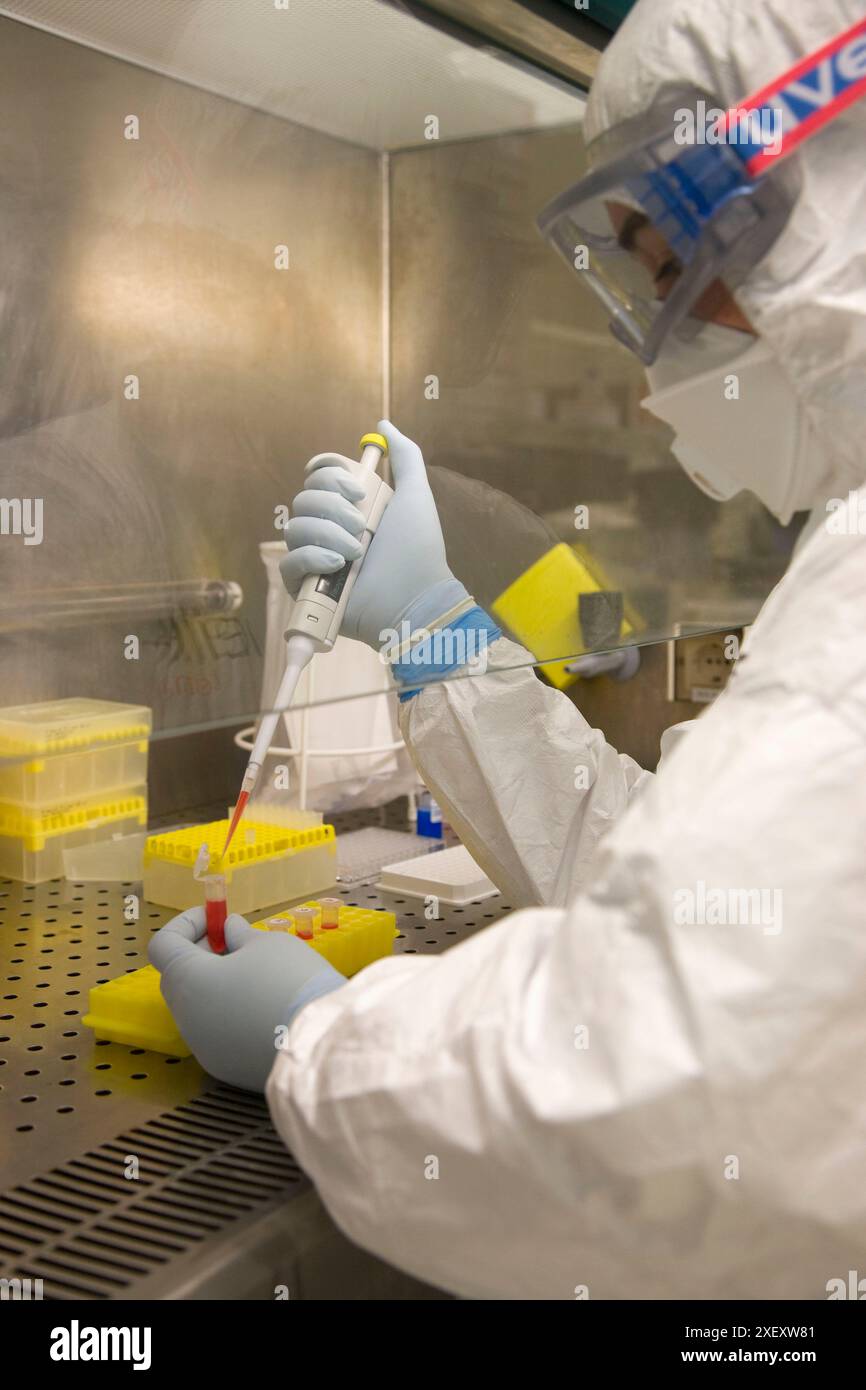 Preparing Bio-Rad Conjugation, Laboratory of Bacteriology, Departamento de Producción y Sanidad Animal, Neiker Tecnalia, Instituto de Investigación y Foto Stock
