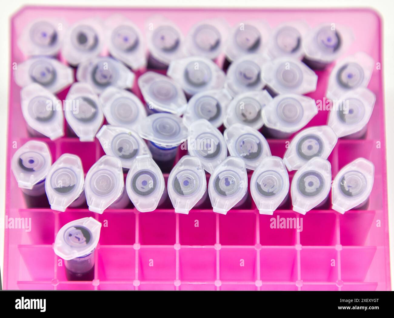 Produzione di enzimi, laboratorio chimico, applicazioni biotecnologiche e industriali, Donostia, San Sebastian, Paesi Baschi, Spagna Foto Stock