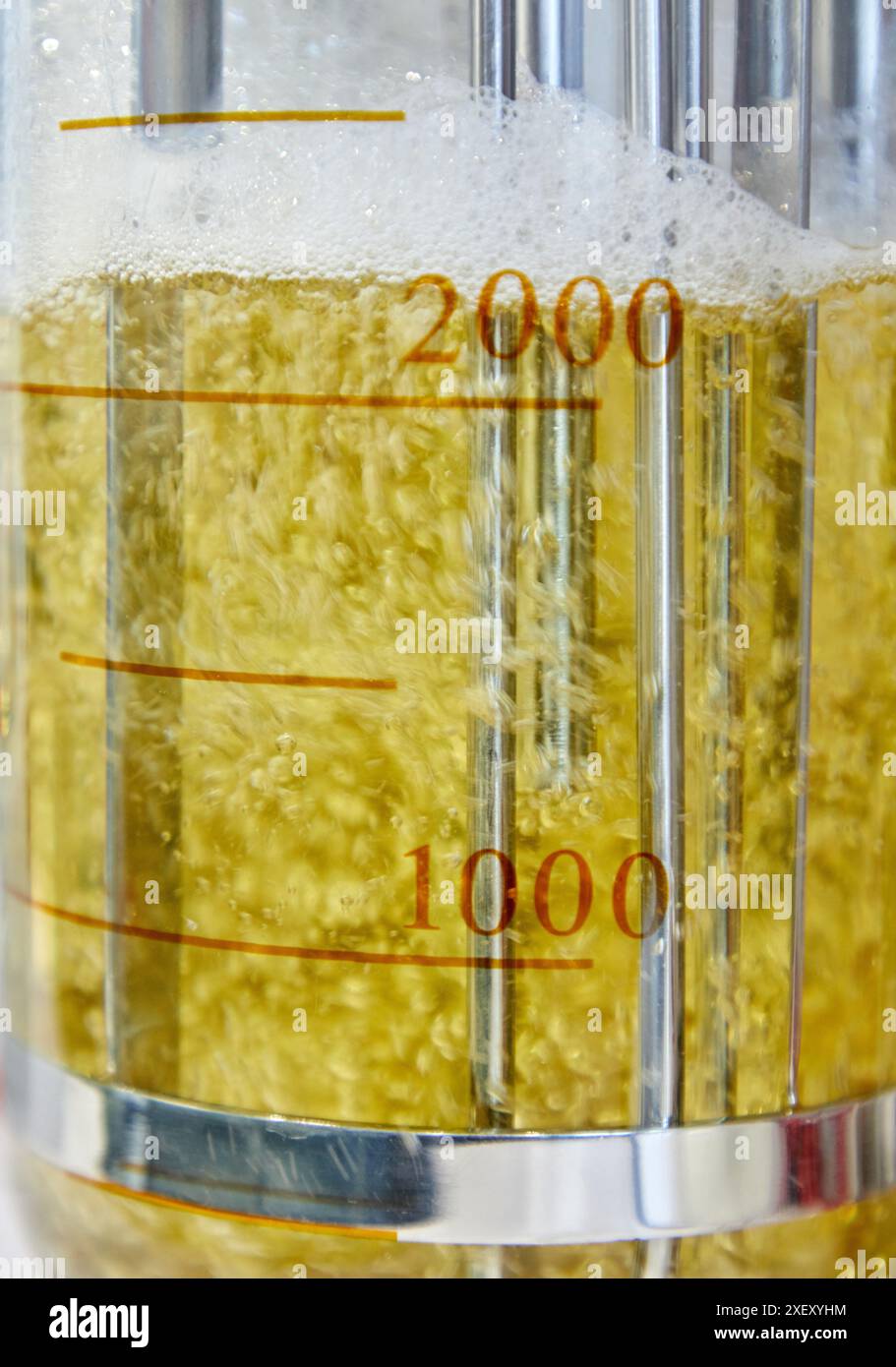 Produzione di enzimi, laboratorio chimico, applicazioni biotecnologiche e industriali, Donostia, San Sebastian, Paesi Baschi, Spagna Foto Stock