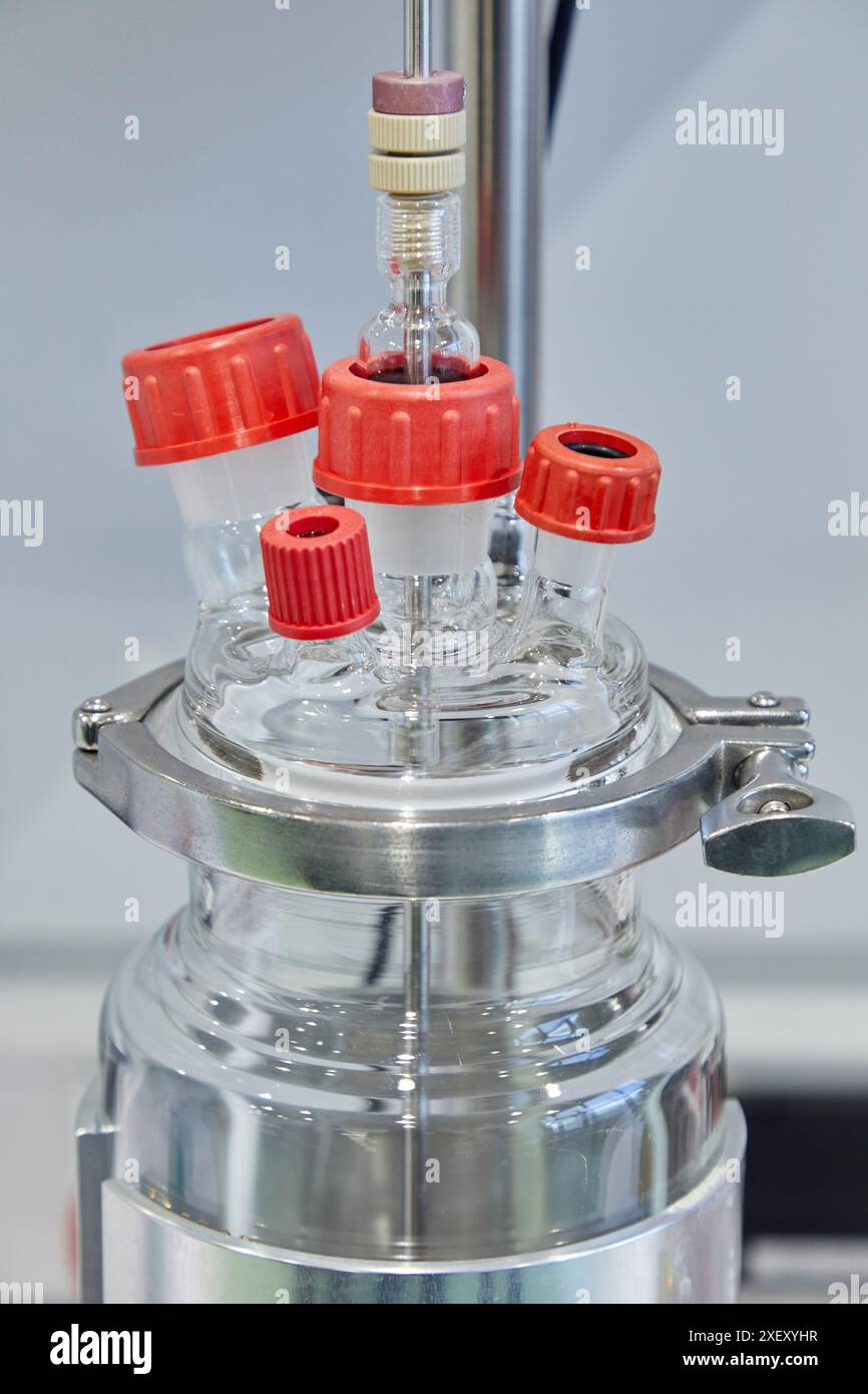 Produzione di enzimi, laboratorio chimico, applicazioni biotecnologiche e industriali, Donostia, San Sebastian, Paesi Baschi, Spagna Foto Stock