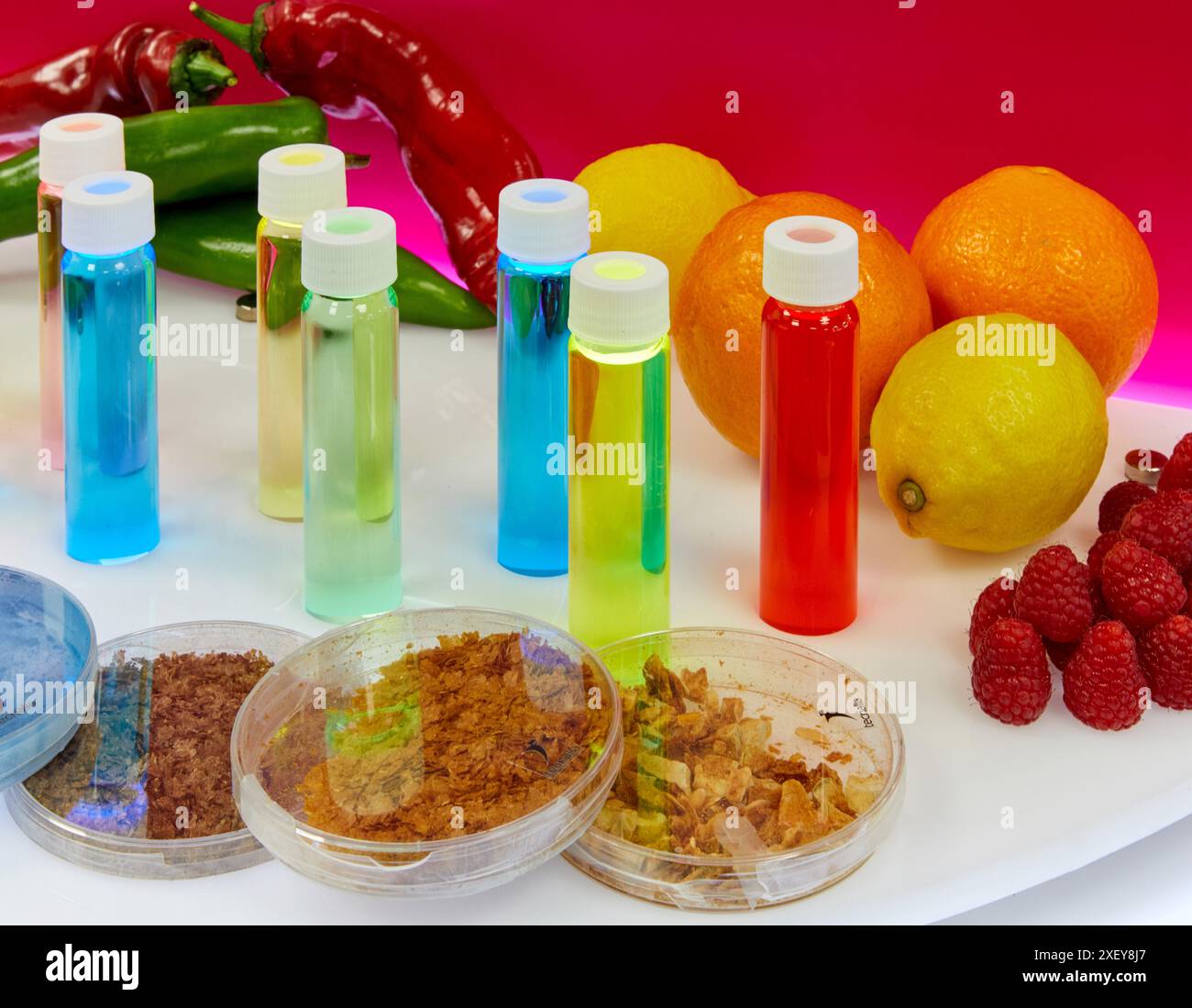 Composti bioattivi dell'industria alimentare. Estratti di materie prime e sottoprodotti dell'industria alimentare ottenuti con apparecchiature ASE. Coloranti, Ly Foto Stock