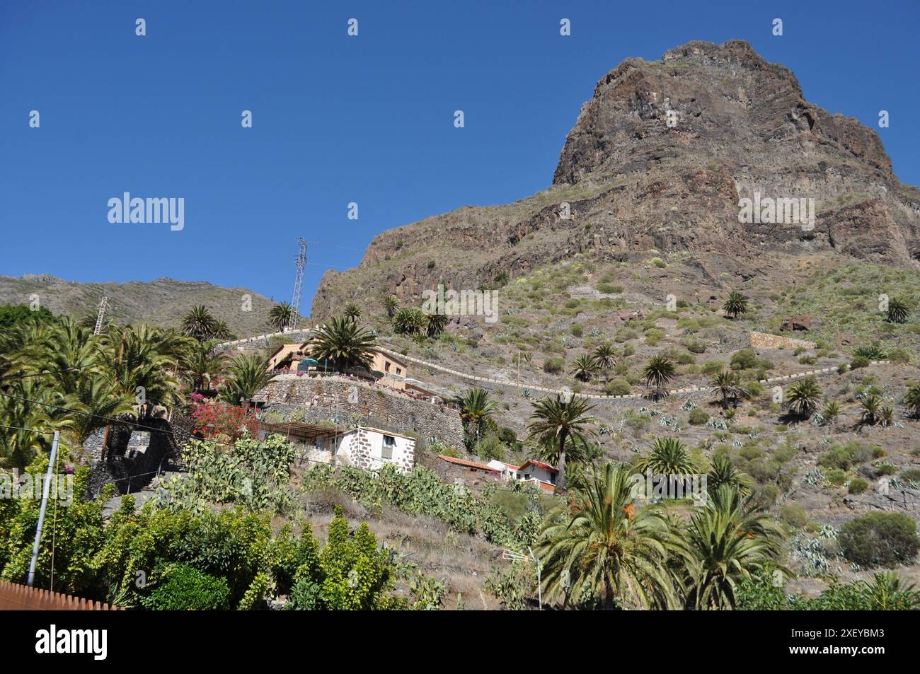 Masca a Tenerife, Isole Canarie Foto Stock