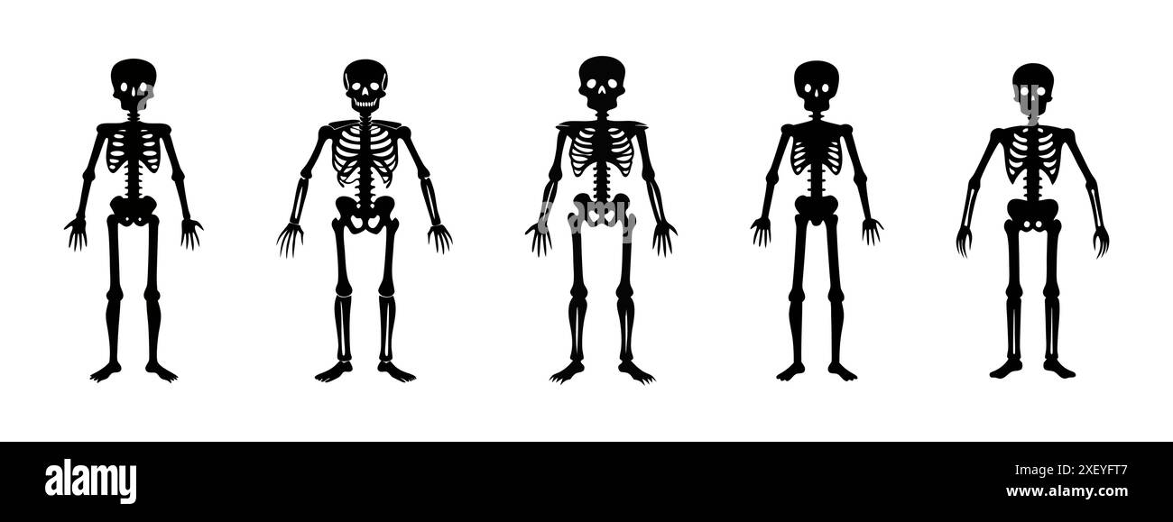 Set di sagome nere di scheletri umani isolati su uno sfondo bianco. Concetto di Halloween, illustrazione anatomica, struttura ossea, illustrazione spettrale. Stampa, icona, elemento di design Illustrazione Vettoriale