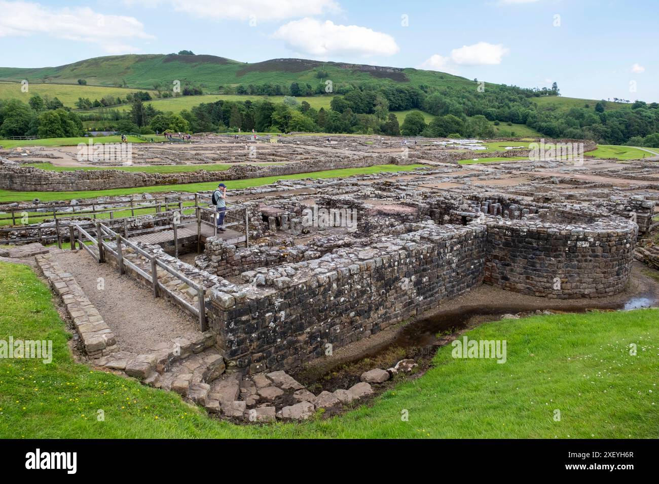 Vindolanda, Northumberland, Inghilterra. Foto Stock