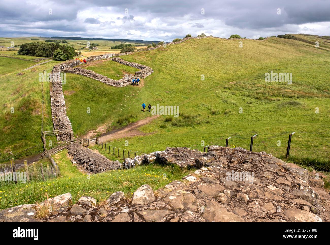 Milecastle 42 - mura adriane, cava Cawfield, Northumberland, Inghilterra. Foto Stock