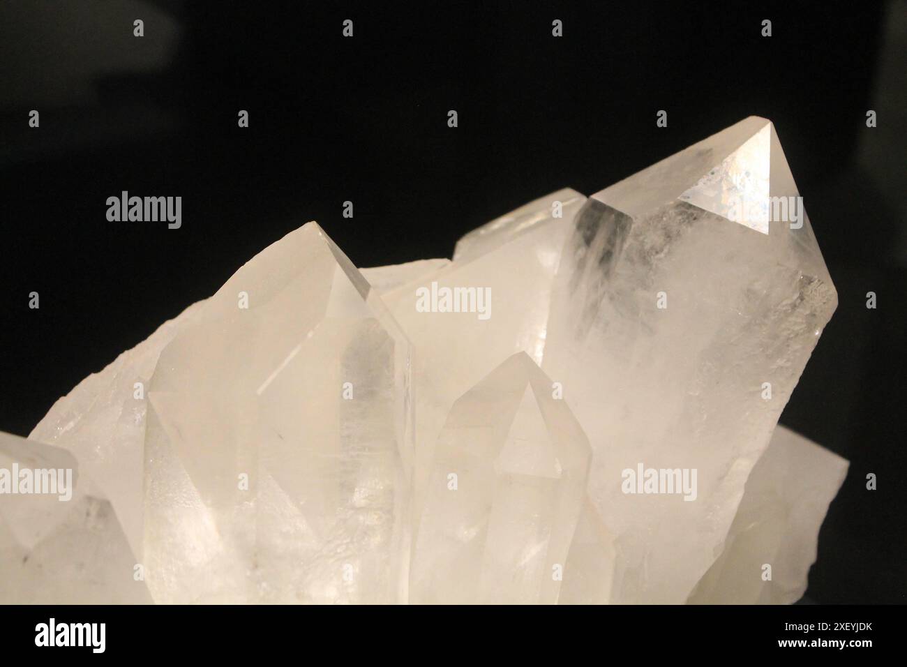 Cristalli viola su sfondo nero. Carta da parati Amethyst quartz cactus. Foto in primo piano orizzontale con texture di pietre preziose grezze lucide. Foto Stock