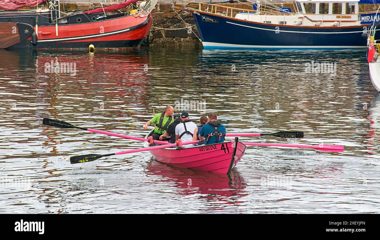 Portsoy Boat Festival, barca a remi rosa Soy Quine con rematori nel porto Foto Stock