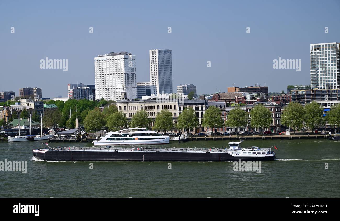 Attività commerciale intensa sul fiume nuova Mosa nel centro di Rotterdam, Paesi Bassi. Foto Stock
