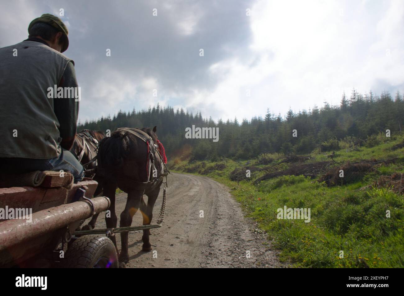 Viaggia a cavallo e in carro sul passo di Borgo, Transilvania, Romania, apparso nel romanzo di Bram Stoker Dracula. Foto Stock