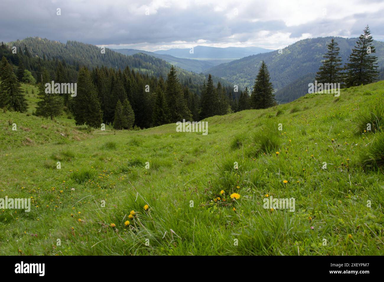 Borgo Pass, Transilvania, Romania, featured in Bram Stoker's romanzo Dracula. Foto Stock