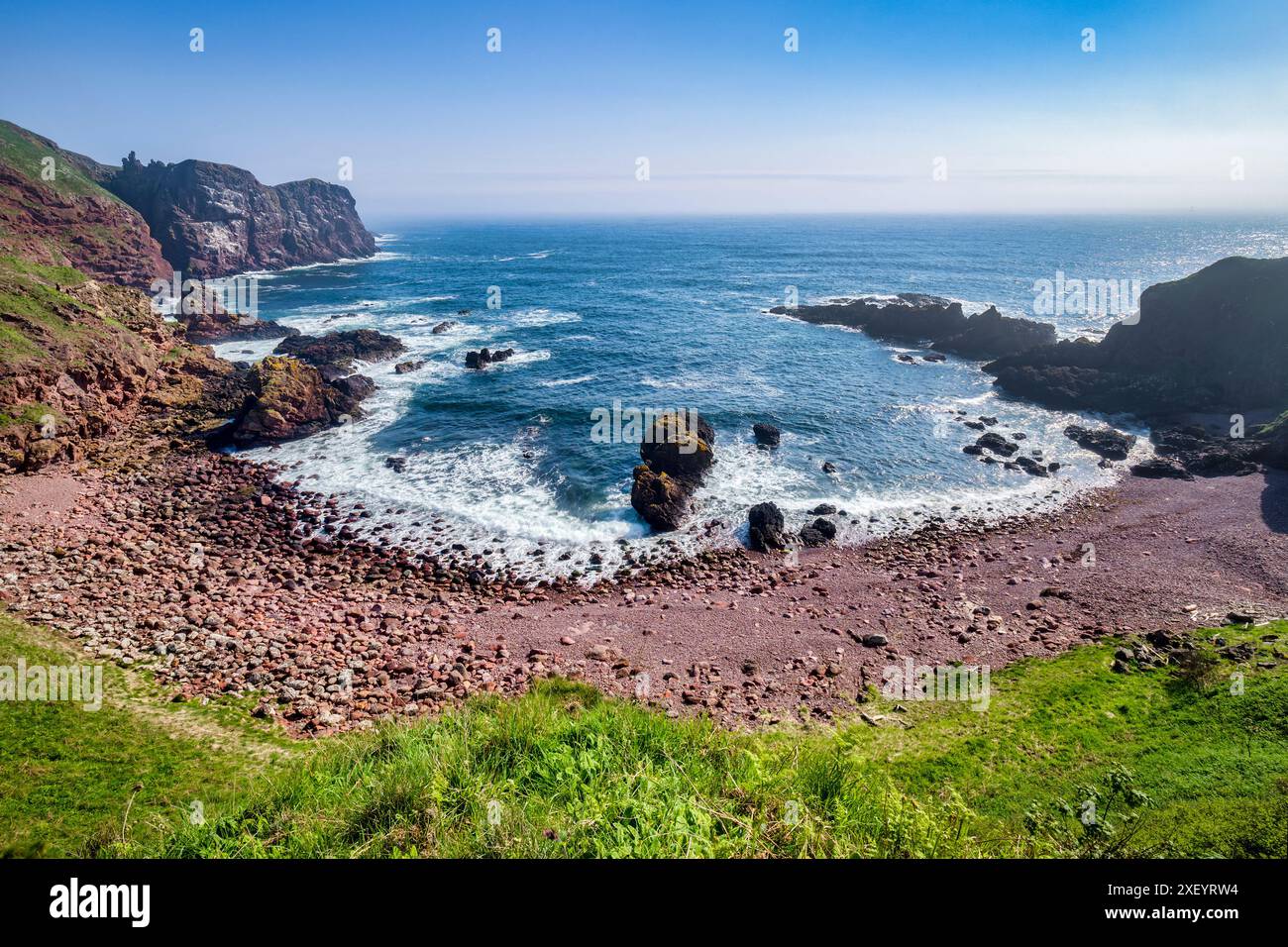 Starney Bay, St Abbs, nella regione di confine della Scozia, in una nebulosa giornata primaverile. Foto Stock