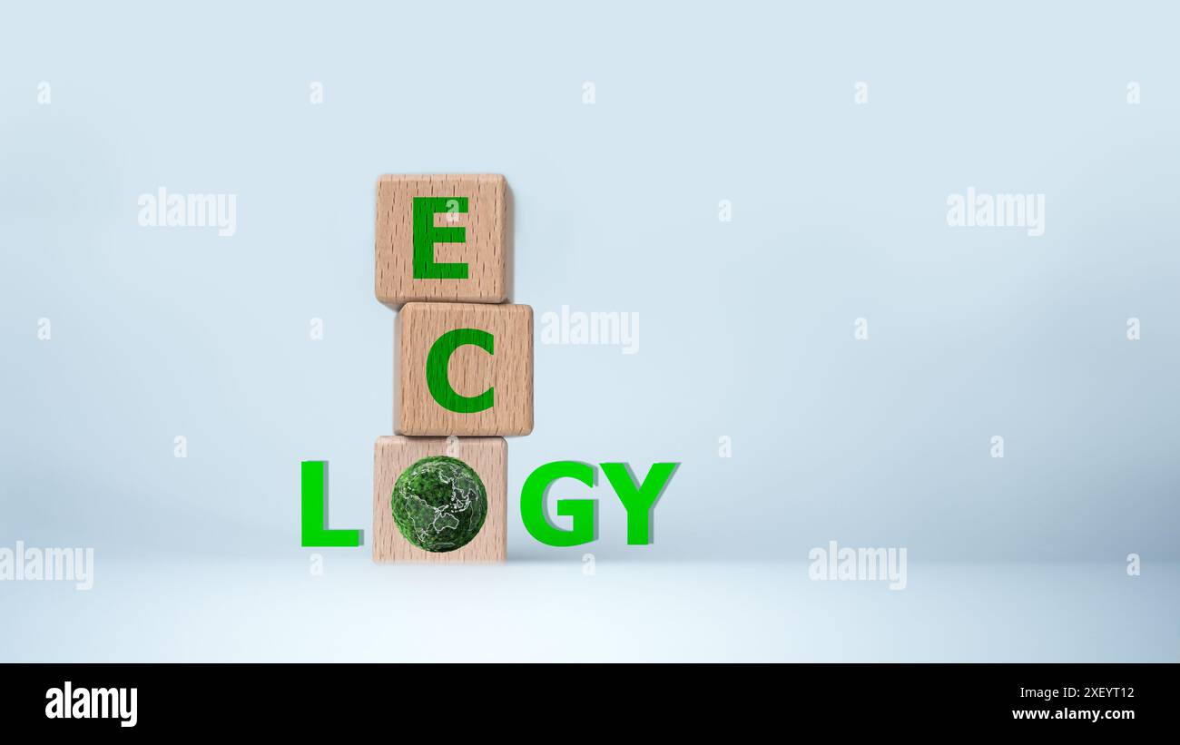 Concetto di ecologia e ambiente, blocco di legno con le lettere ECO ed ecologia. Il blocco è posizionato sopra uno sfondo bianco, concetto di sus Foto Stock