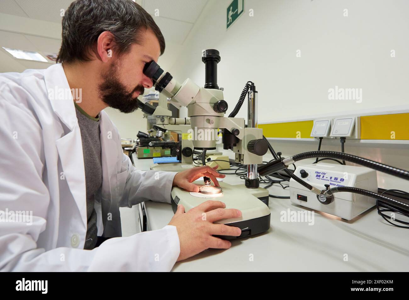 Lentino. Analisi delle cause di guasto dei componenti e dei sistemi. Servizi tecnologici all'industria. Tecnalia Research & Innovation, Donostia, San Seba Foto Stock