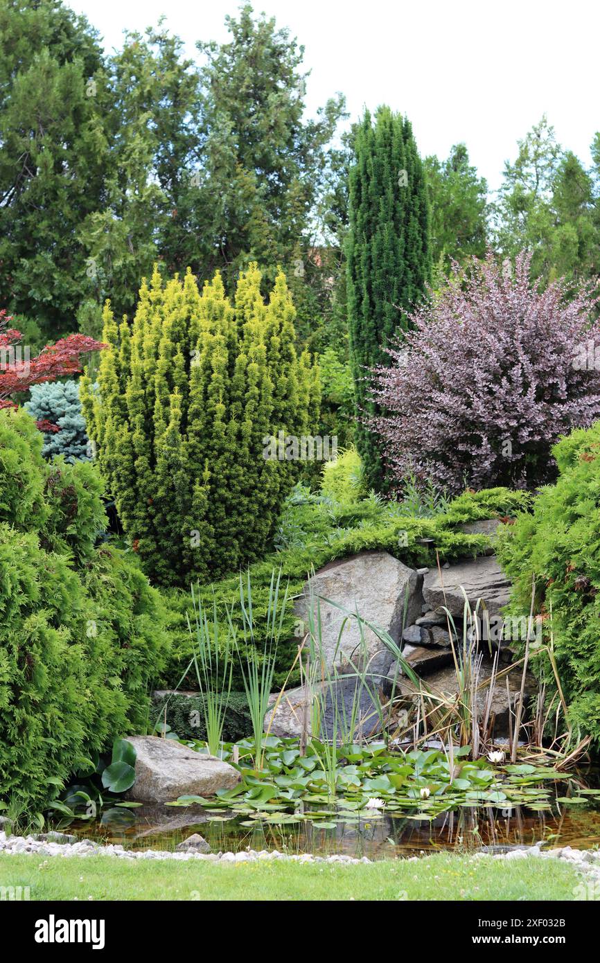 Design paesaggistico di un bellissimo giardino con alberi, cespugli e laghetto Foto Stock