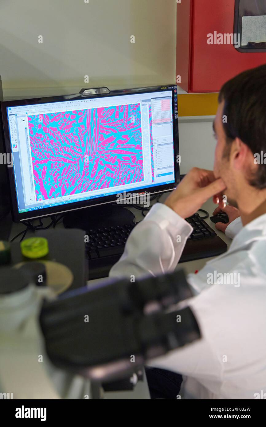 Analisi dei campioni incorporati. Microscopia ottica. Caratterizzazione, test e analisi di materiali e componenti. Servizi tecnologici all'industria. Foto Stock
