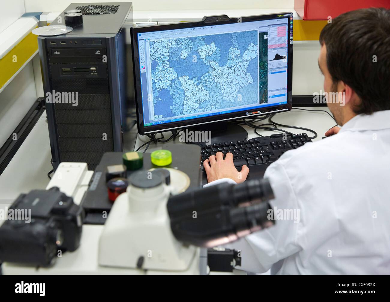 Analisi dei campioni incorporati. Microscopia ottica. Caratterizzazione, test e analisi di materiali e componenti. Servizi tecnologici all'industria. Foto Stock