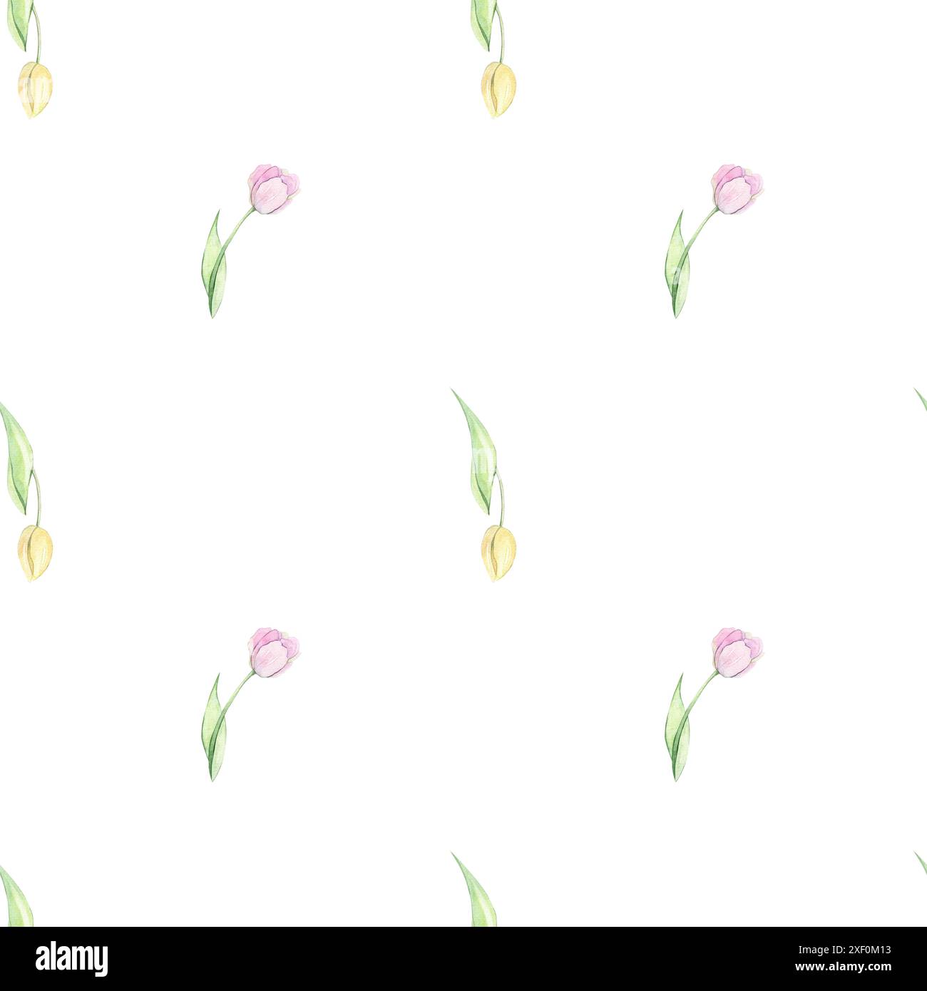 Modello senza cuciture con acquarello tulipani Foto Stock