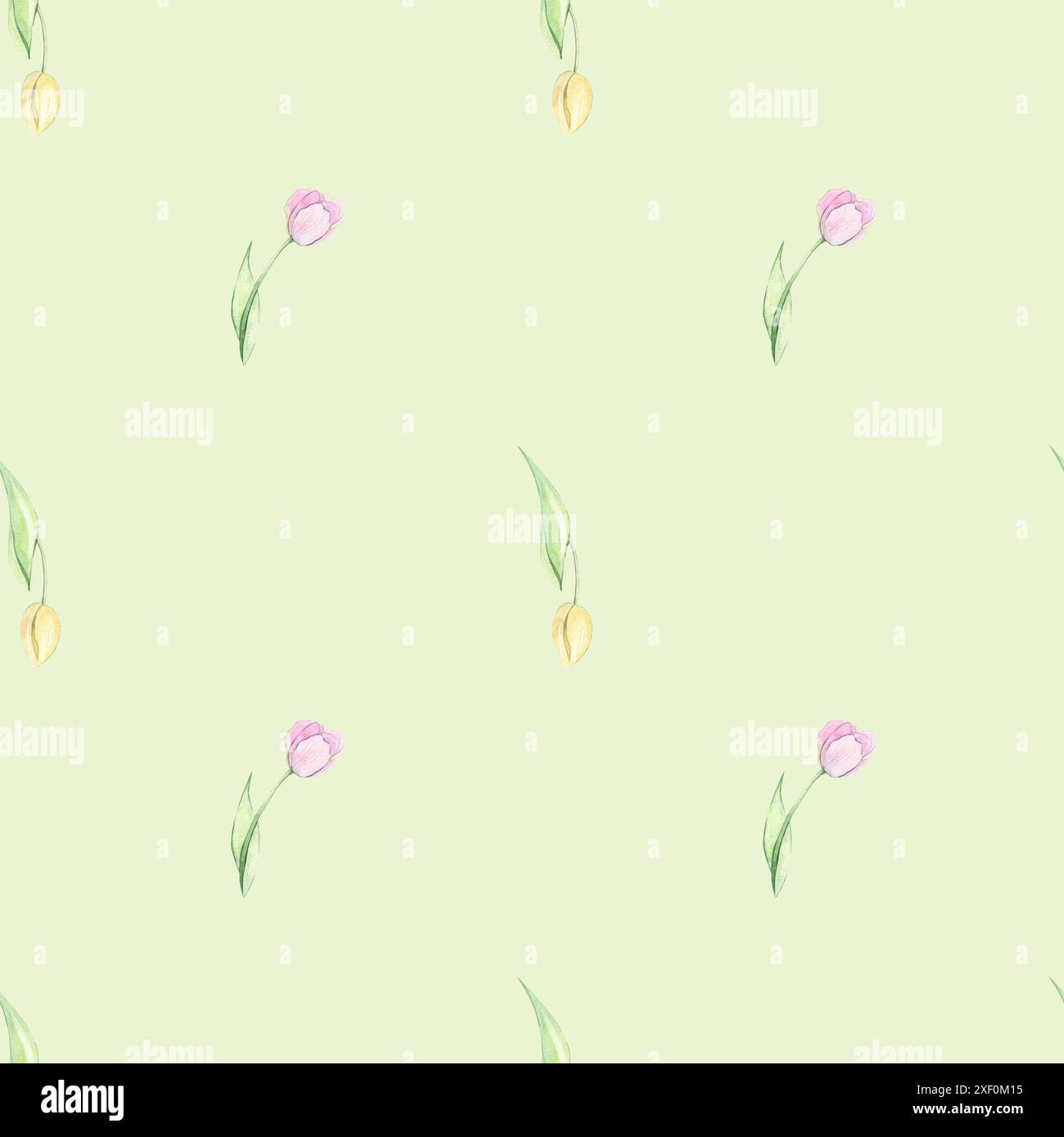 Modello senza cuciture con acquarello tulipani Foto Stock