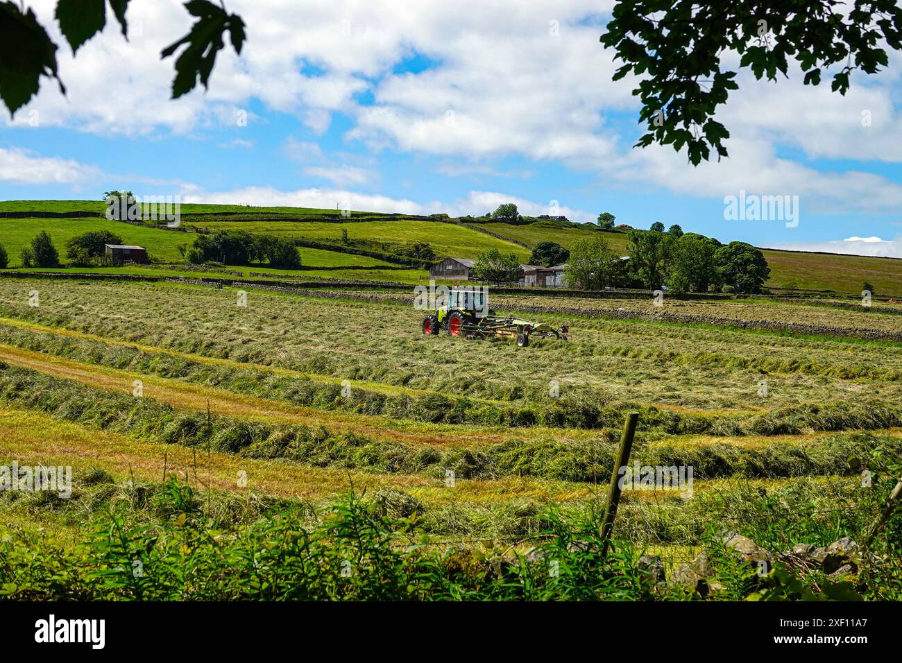 Trattore verde con ruote rosse che producono fieno in un campo alla periferia di Sheffield, South Yorkshire Foto Stock