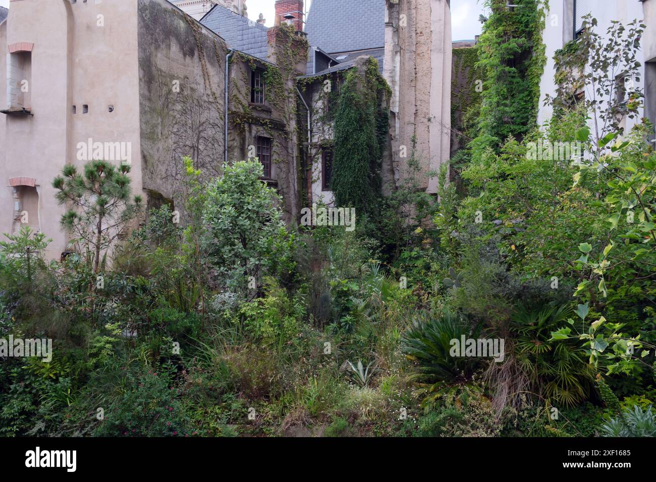 Jungle Intérieure, creata da Evor, foresta pluviale nel centro della città, Nantes, Francia Foto Stock